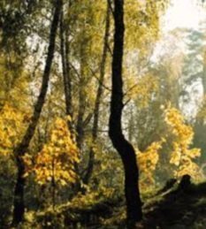 ФСО РФ Госкомплекс Таруса